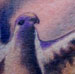Tattoos - PEACE DOVE !!! - 21426